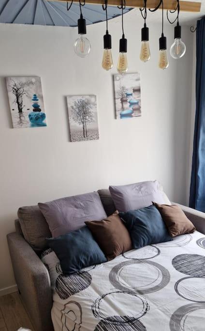Nemo Petit Studio Cosy. Selongey Kültér fotó